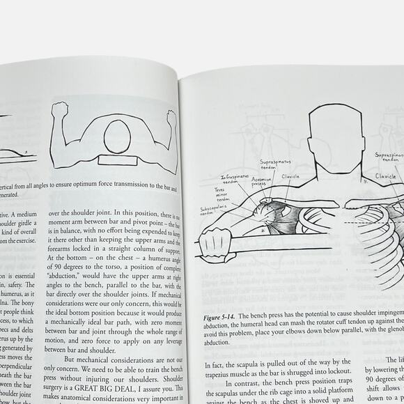 Fitness Book Starting Strength Basic Barbell Training Mark Rippetoe 3rd Edition - Picture 13 of 16